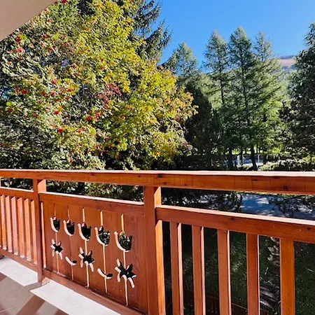 Apartment Renove 6 Pers Proche Pistes - Les 2 Alpes - Fr-1-546-63