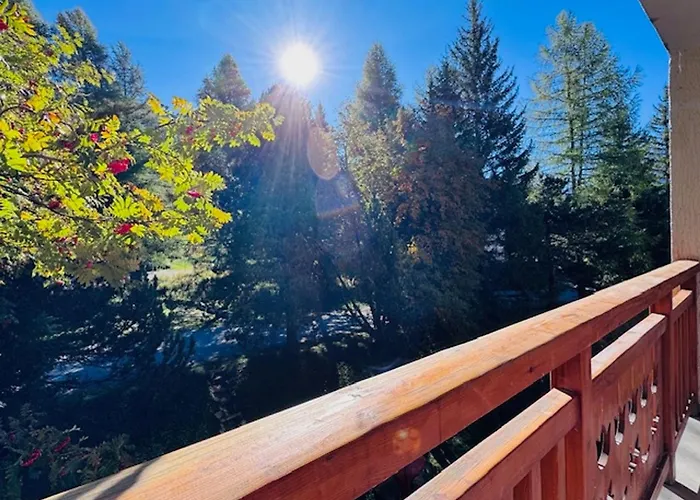 Apartment Renove 6 Pers Proche Pistes - Les 2 Alpes - Fr-1-546-63 Les Deux Alpes